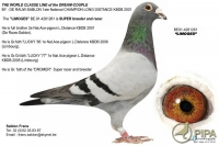 limoges.jpg