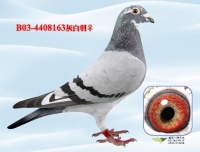 B03-4408163moeder Lucky Freddy.jpg